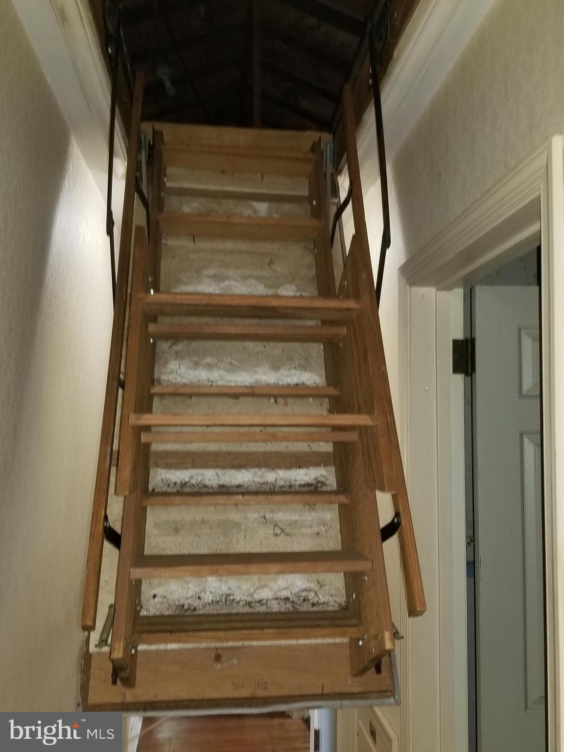 478 Lawrence Road Huntingdon Valley, PA 19006 - Photo 13 of 24 Attic Storage
