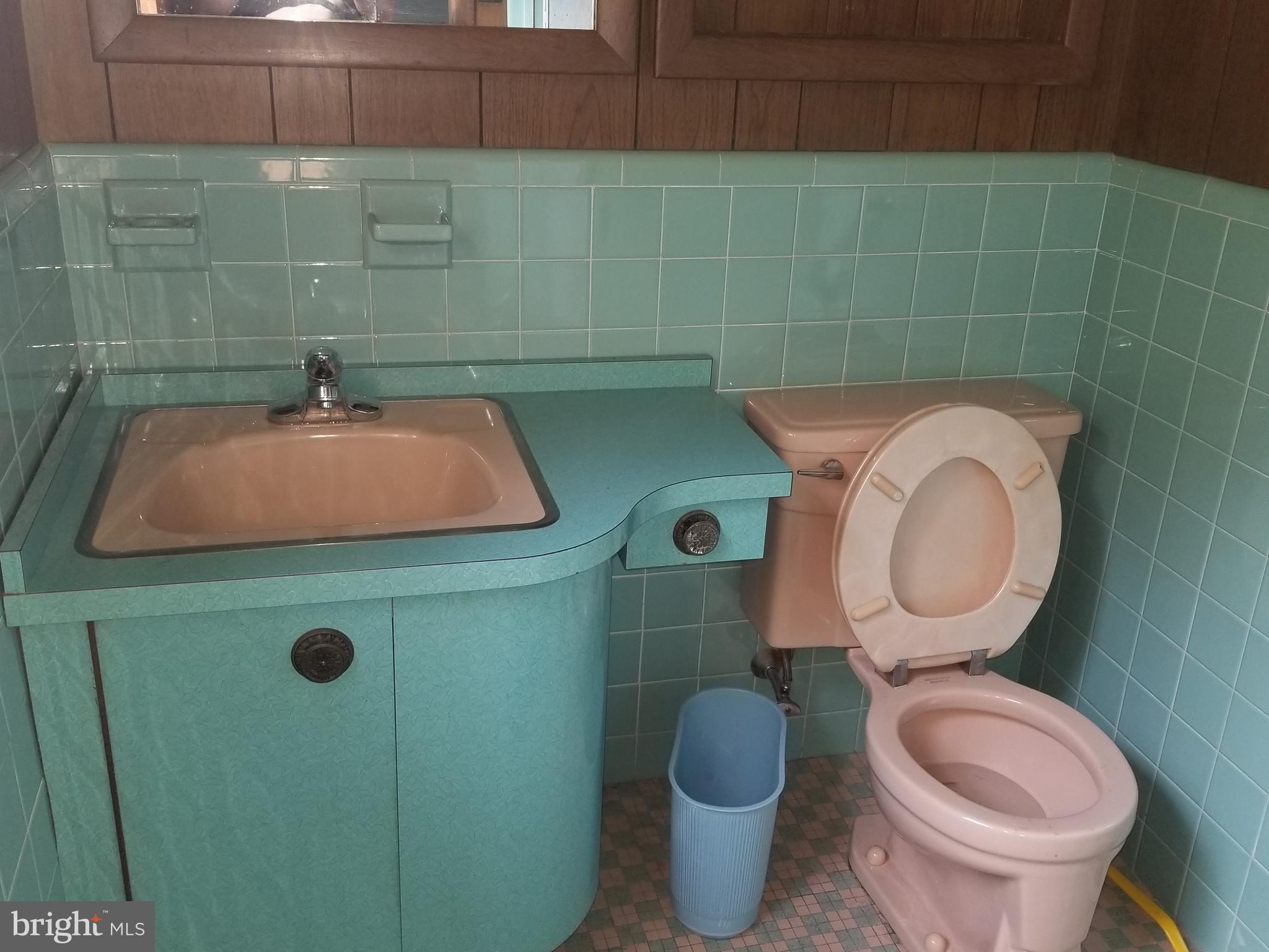 50's retro Master bath with walk in shower