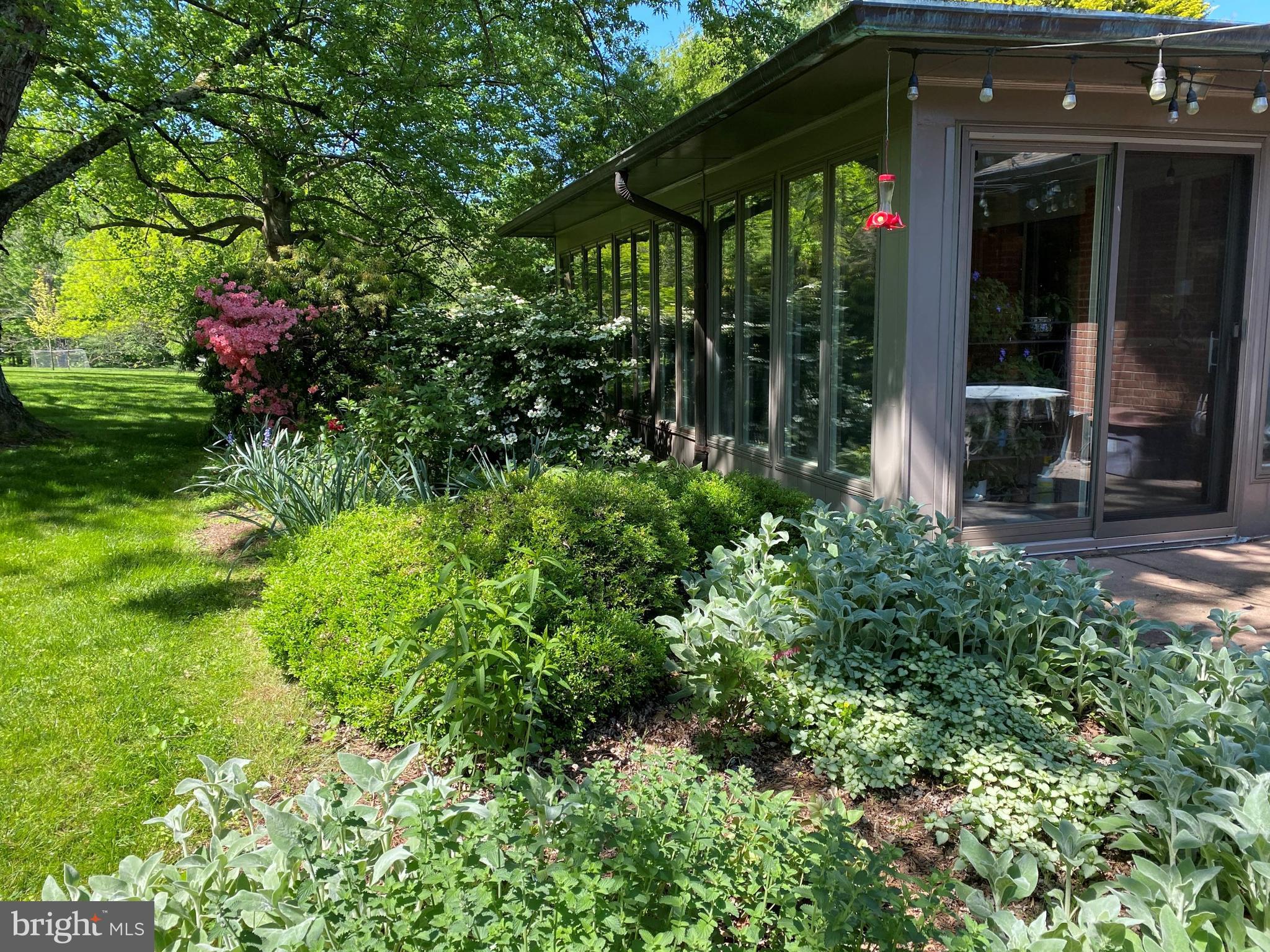 9320 Brink Road Gaithersburg, MD 20882 - Photo 53 of 57 Exterior Foliage