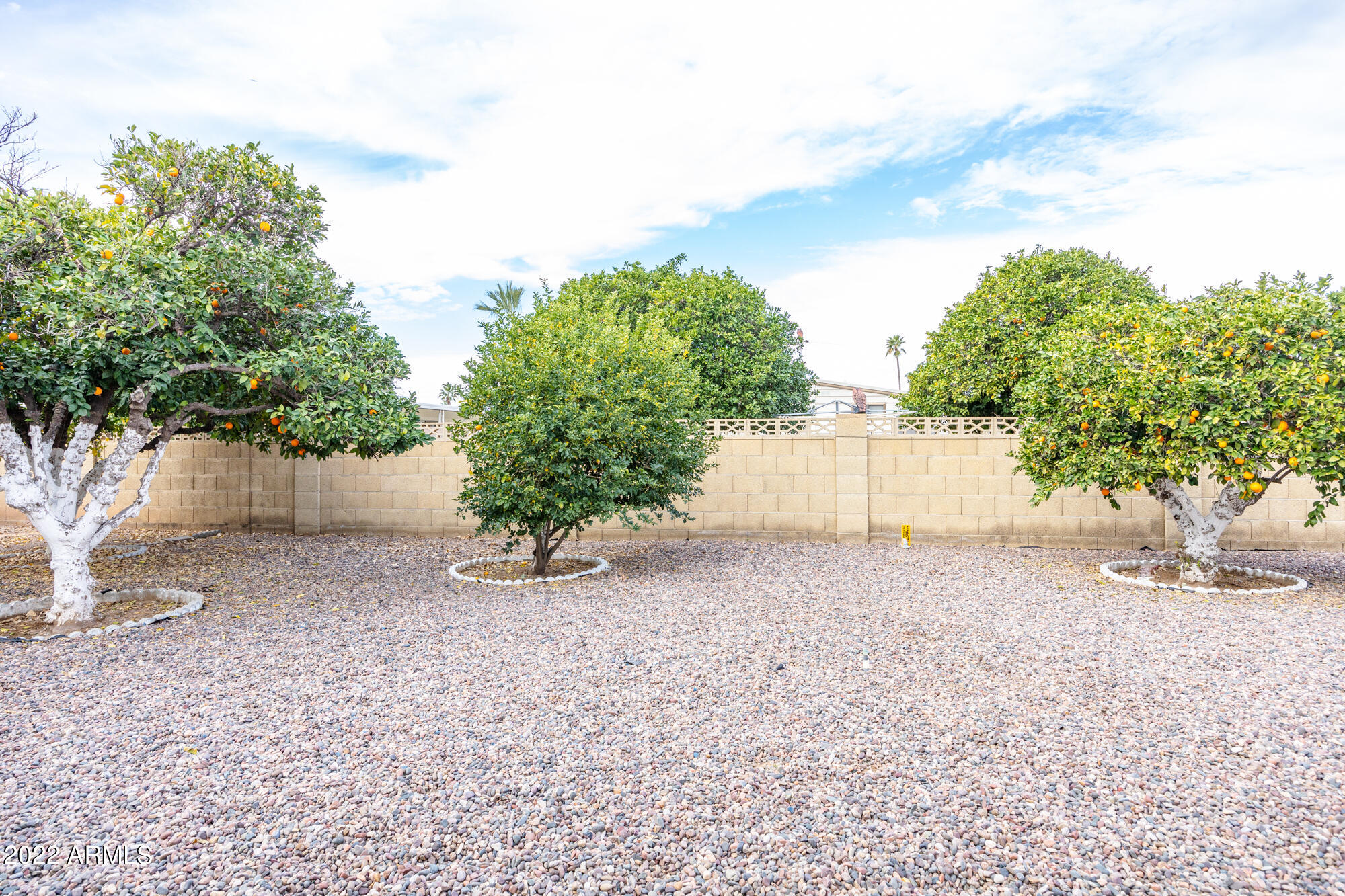 3160 East Main Street, Unit 75 Mesa, AZ 85213 - Photo 26 of 31 Patio View