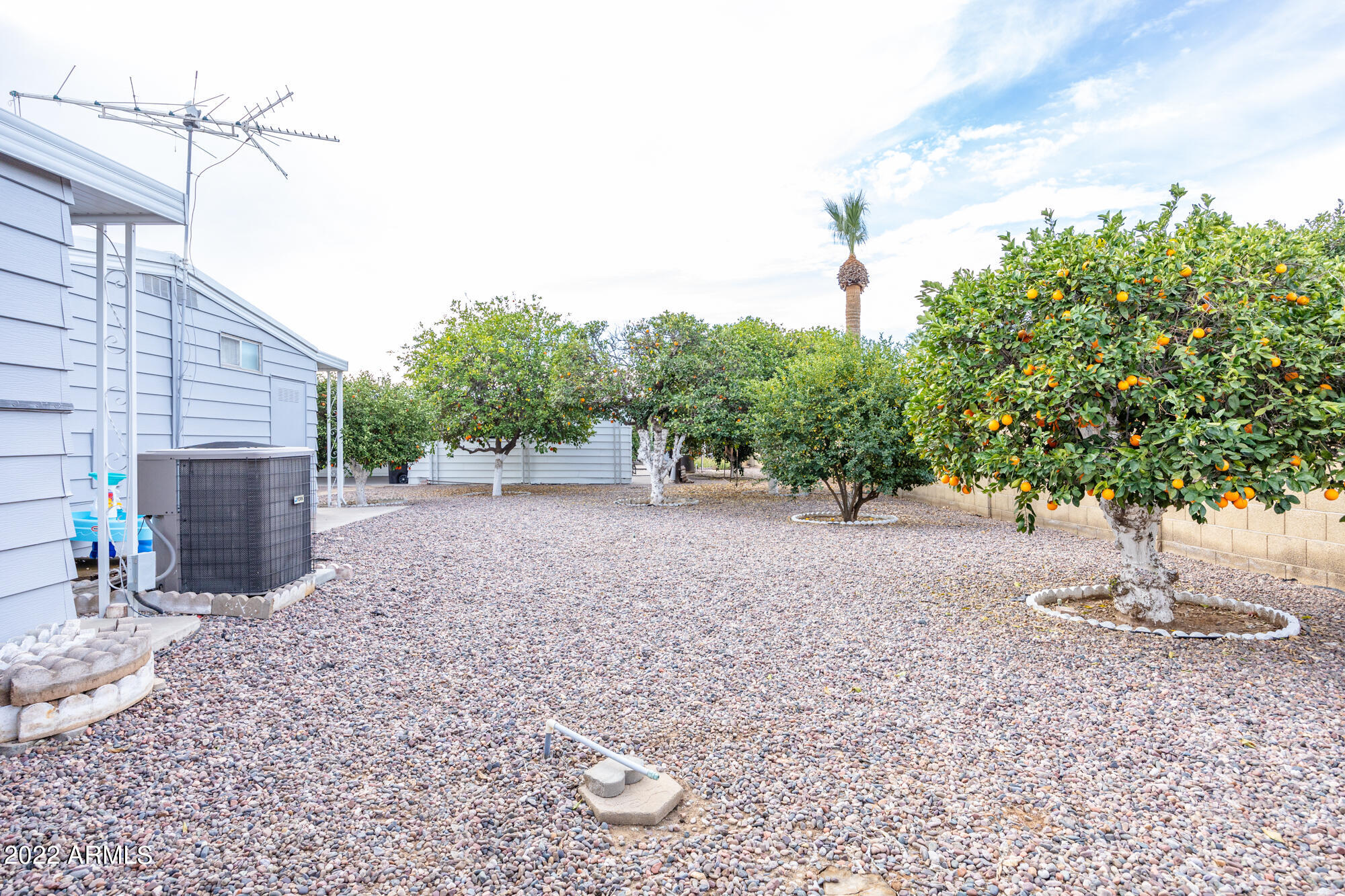 3160 East Main Street, Unit 75 Mesa, AZ 85213 - Photo 30 of 31 Backyard South