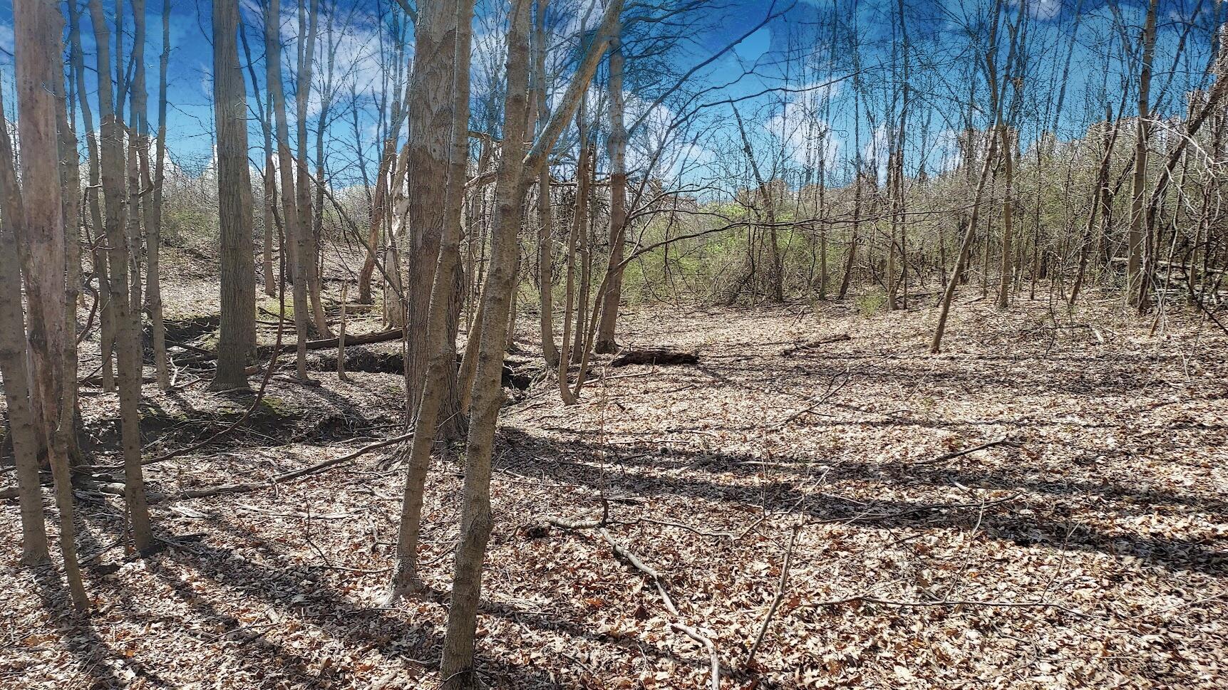 5563 Red Bank Road, Unit TRACT C Galena, OH 43021 - Photo 14 of 32 14. Ravine