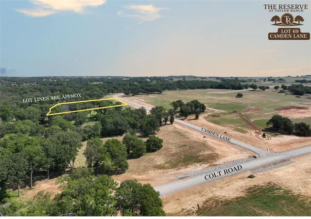 a view of a lush green space