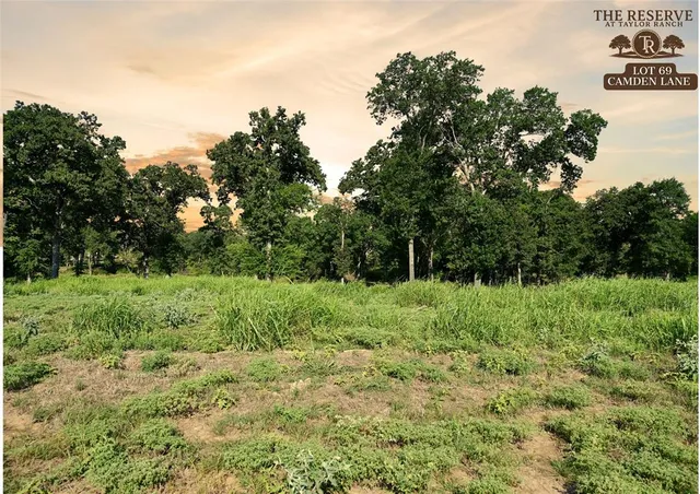 a view of a lake from a yard