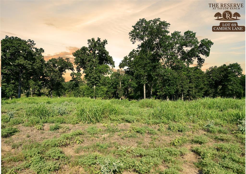 Lot 69 Camden Lane Springtown, TX 76082 - Photo 3 of 9 a view of a lush green space