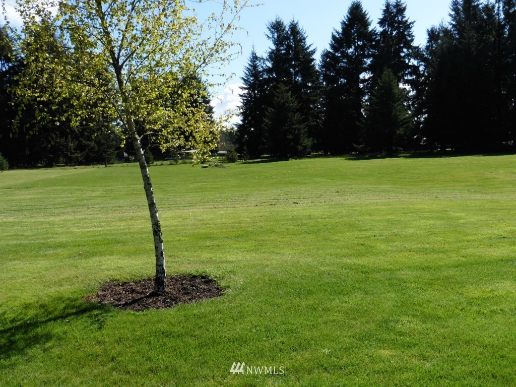 17910 Irwin Street Southwest Rochester, WA 98579 - Photo 15 of 15