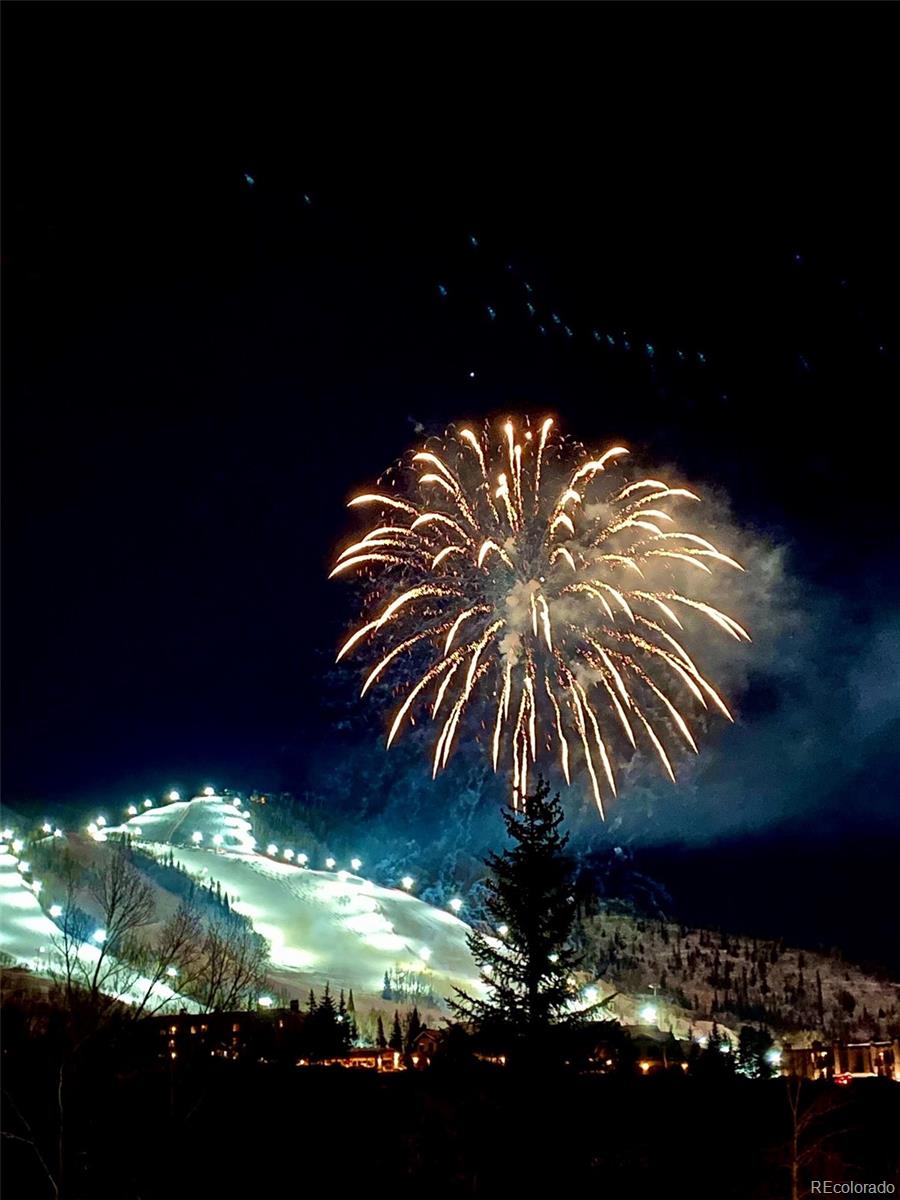 1680 Ranch Road, Unit 201 Steamboat Springs, CO 80487 - Photo 32 of 32 Gallery Image 32