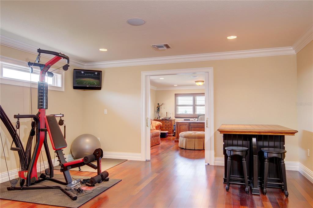 1227 Osowaw Boulevard Spring Hill, FL 34607 - Photo 56 of 96 a living room with furniture and gym equipment