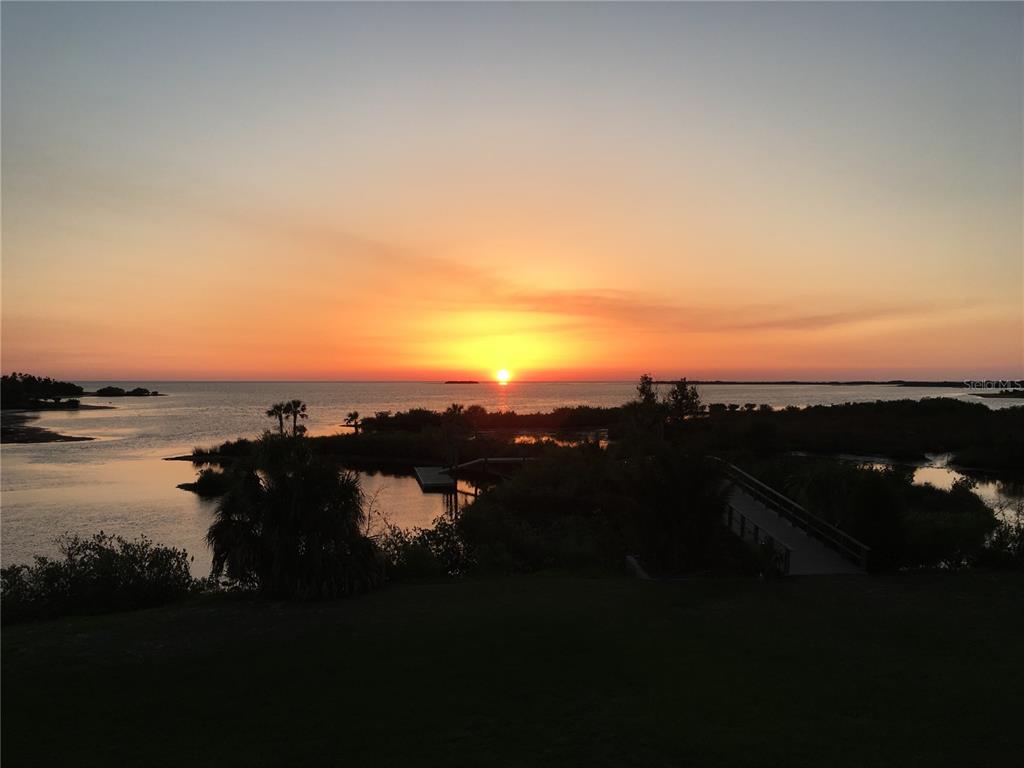 1227 Osowaw Boulevard Spring Hill, FL 34607 - Photo 91 of 96