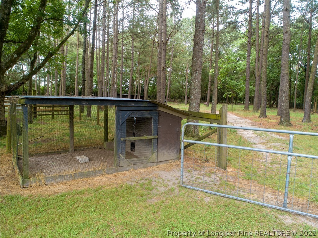 Gallery Image 7