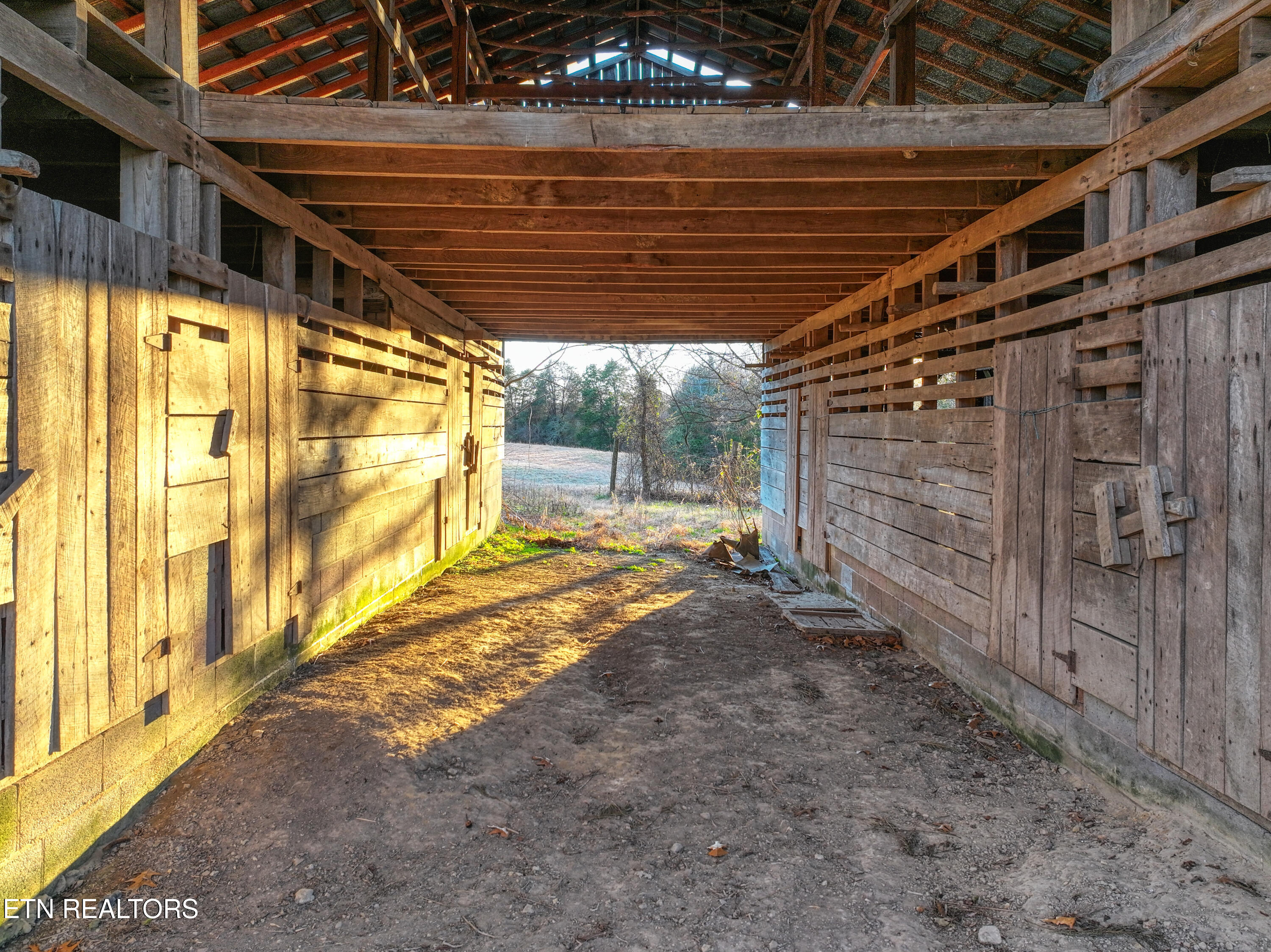 2415 Riddle Road New Market, TN 37820 - Photo 28 of 41 DJI_20260113171808_0209_D_141