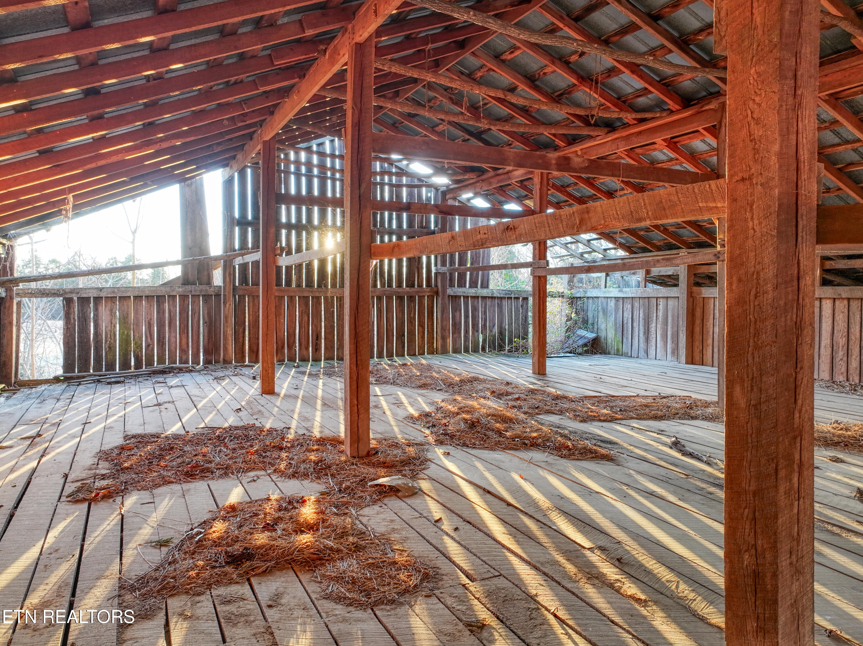 2415 Riddle Road New Market, TN 37820 - Photo 30 of 41 DJI_20260113171828_0215_D_142