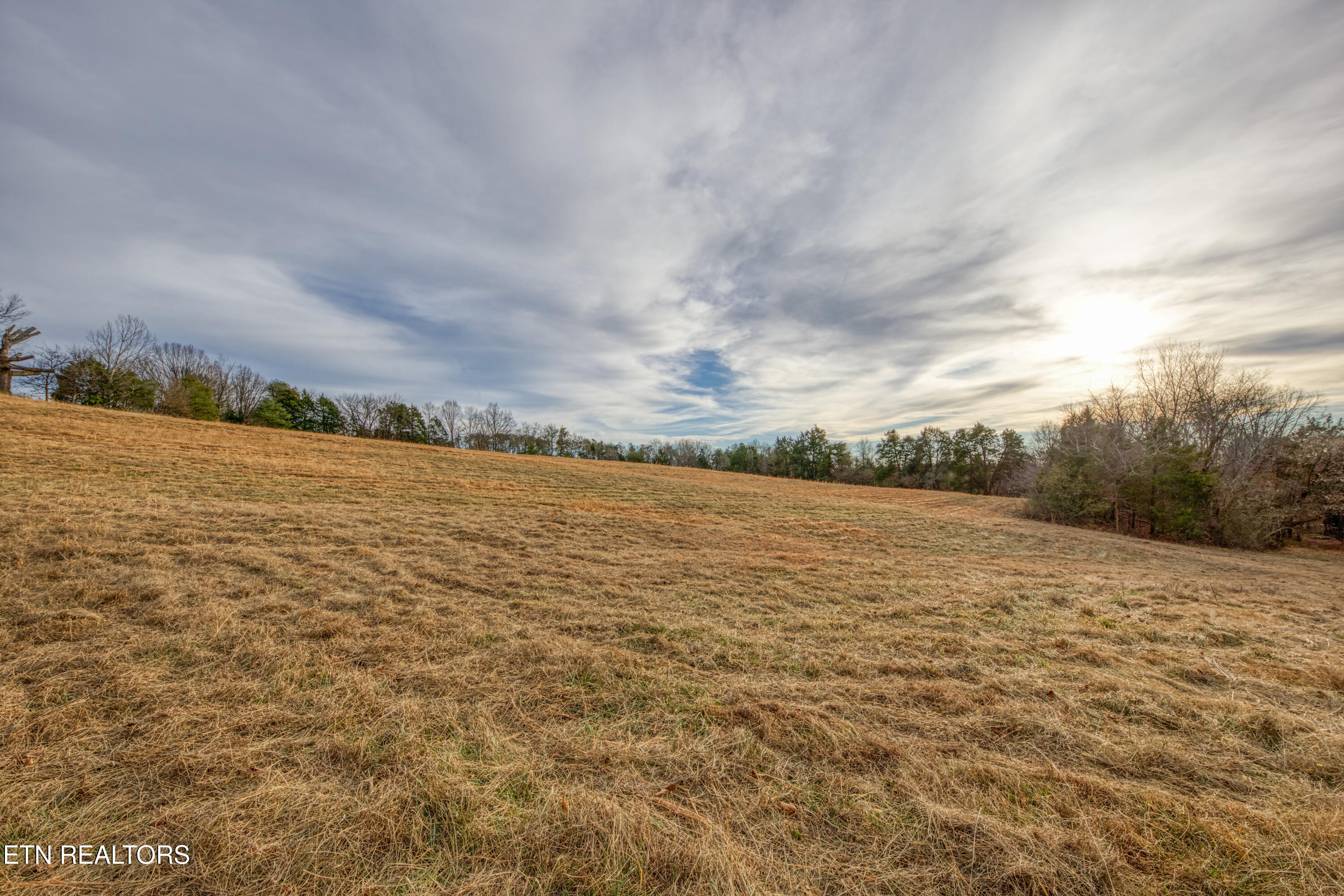 2415 Riddle Road New Market, TN 37820 - Photo 34 of 41 0H3A1415_94