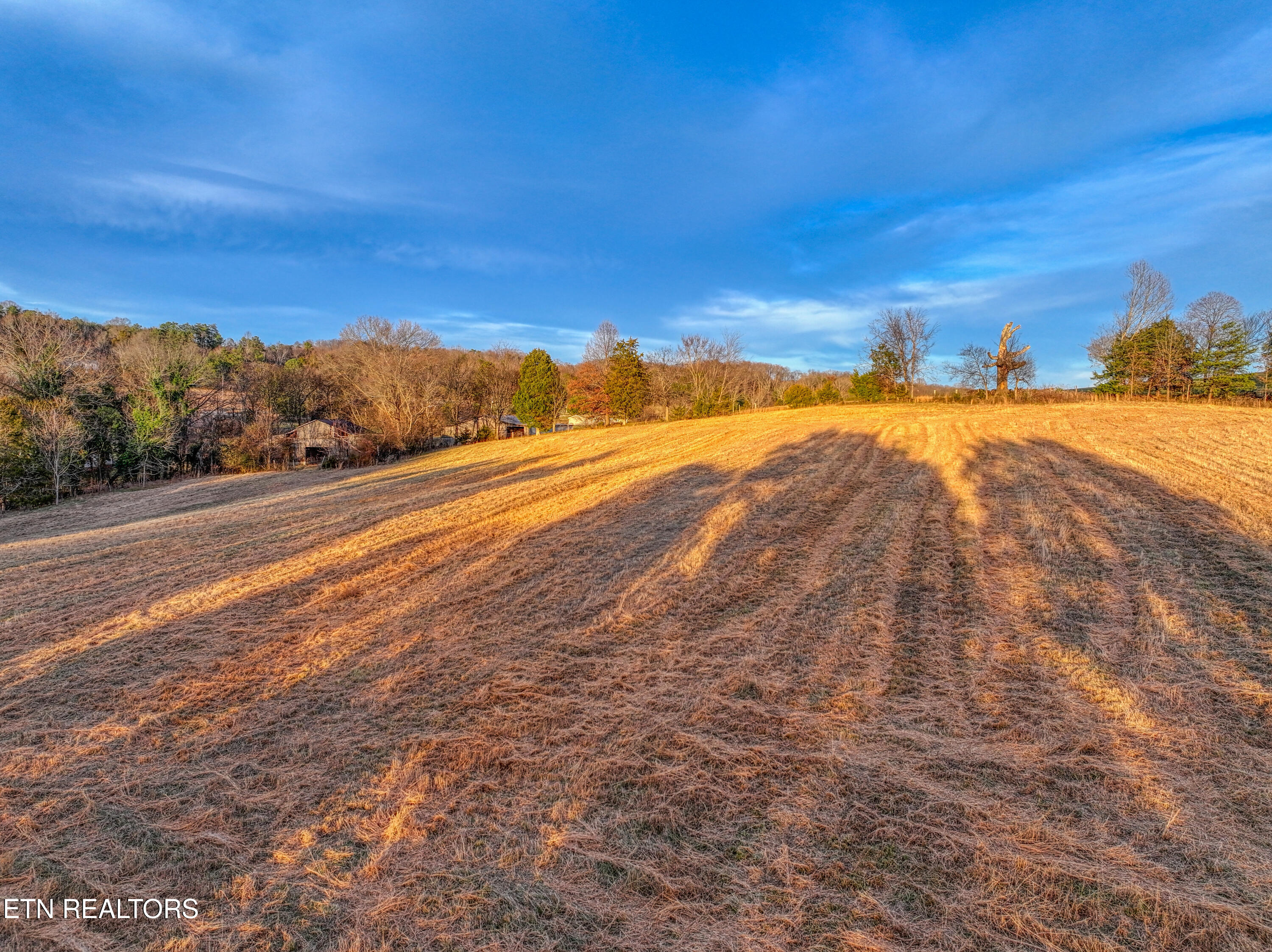 2415 Riddle Road New Market, TN 37820 - Photo 36 of 41 DJI_20260113171343_0176_D_136