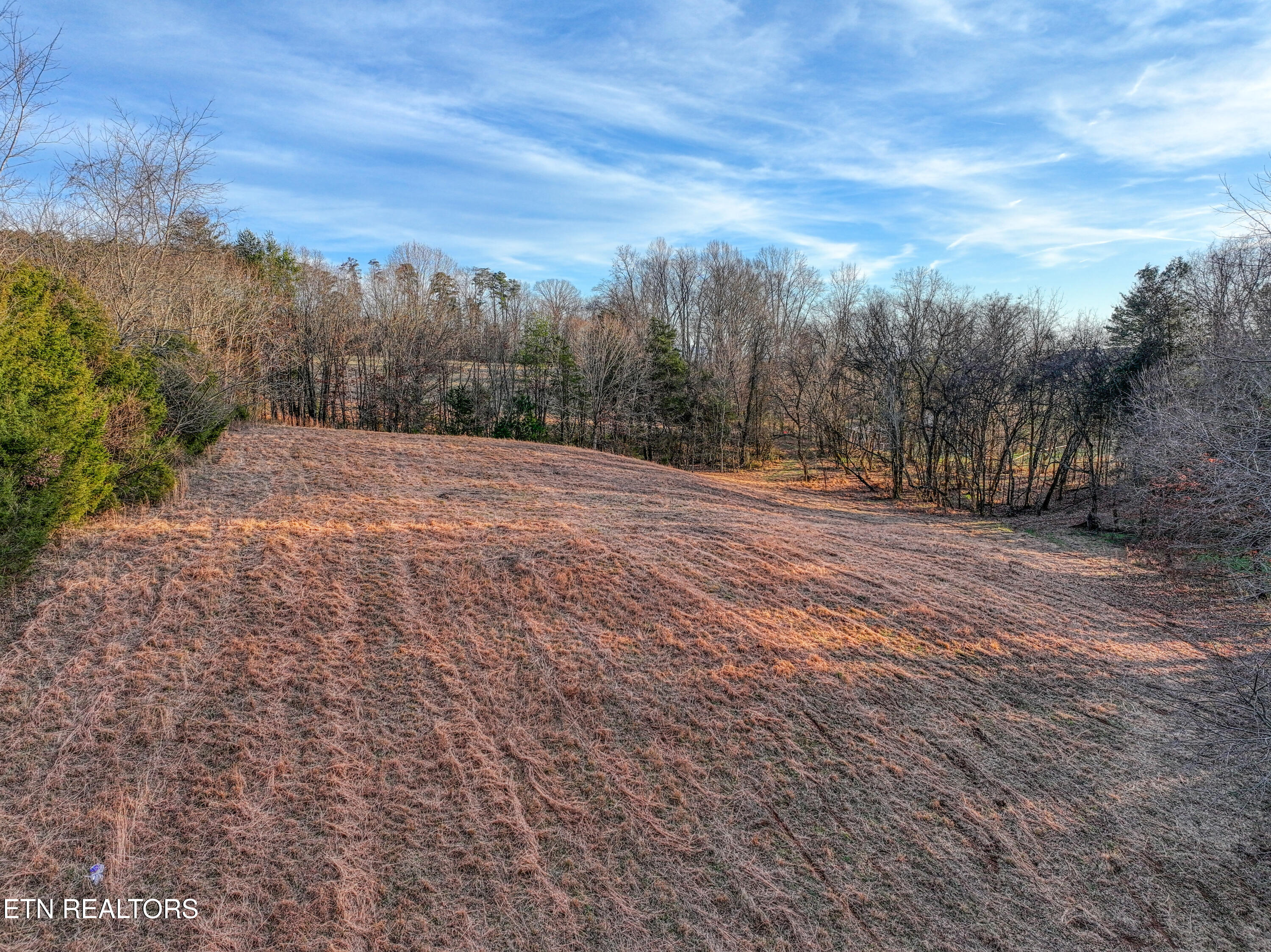 2415 Riddle Road New Market, TN 37820 - Photo 38 of 41 DJI_20260113170948_0161_D_128