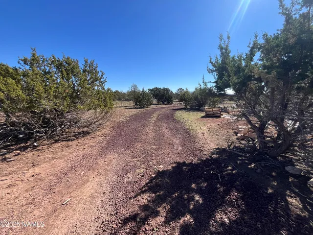 a view of dirt field with trees in background