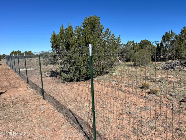 a view of a yard with wooden fence