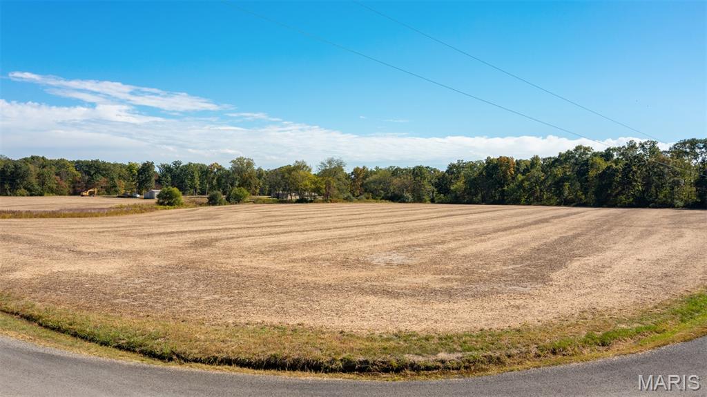 Tbd Donnell Avenue Donnellson, IL 62019 - Photo 11 of 12