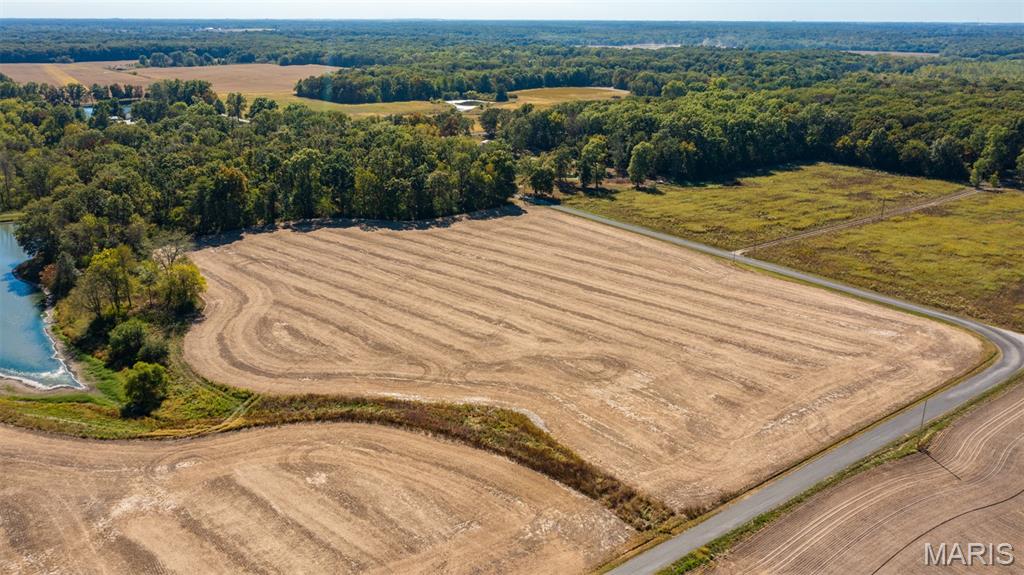 Tbd Donnell Avenue Donnellson, IL 62019 - Photo 2 of 12