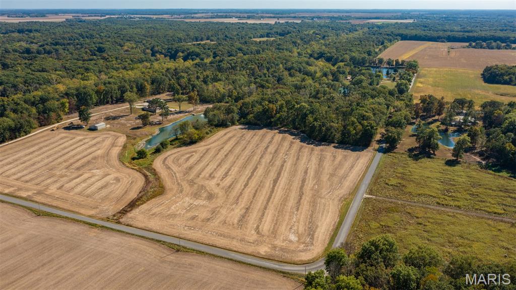 Tbd Donnell Avenue Donnellson, IL 62019 - Photo 4 of 12