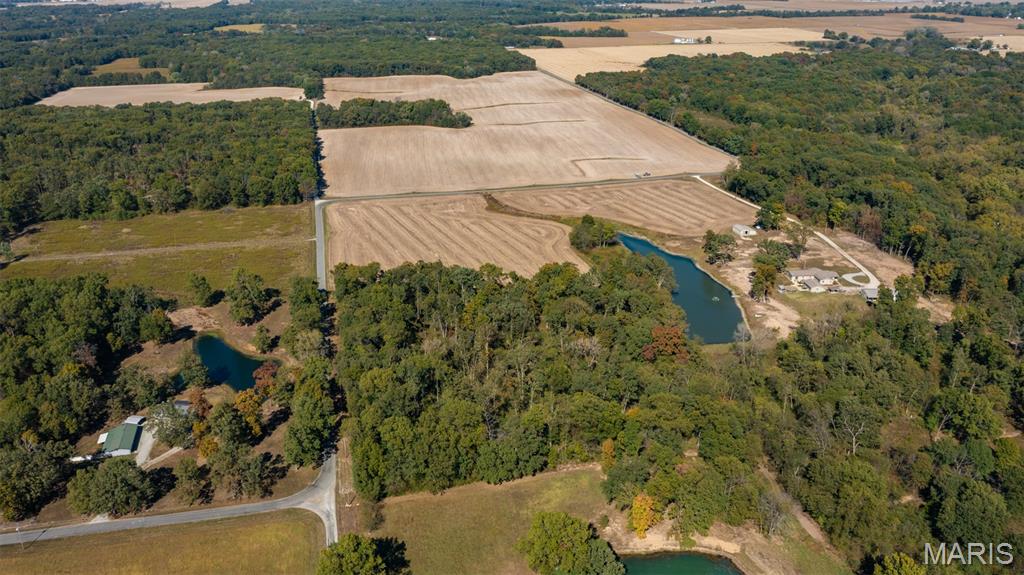 Tbd Donnell Avenue Donnellson, IL 62019 - Photo 5 of 12