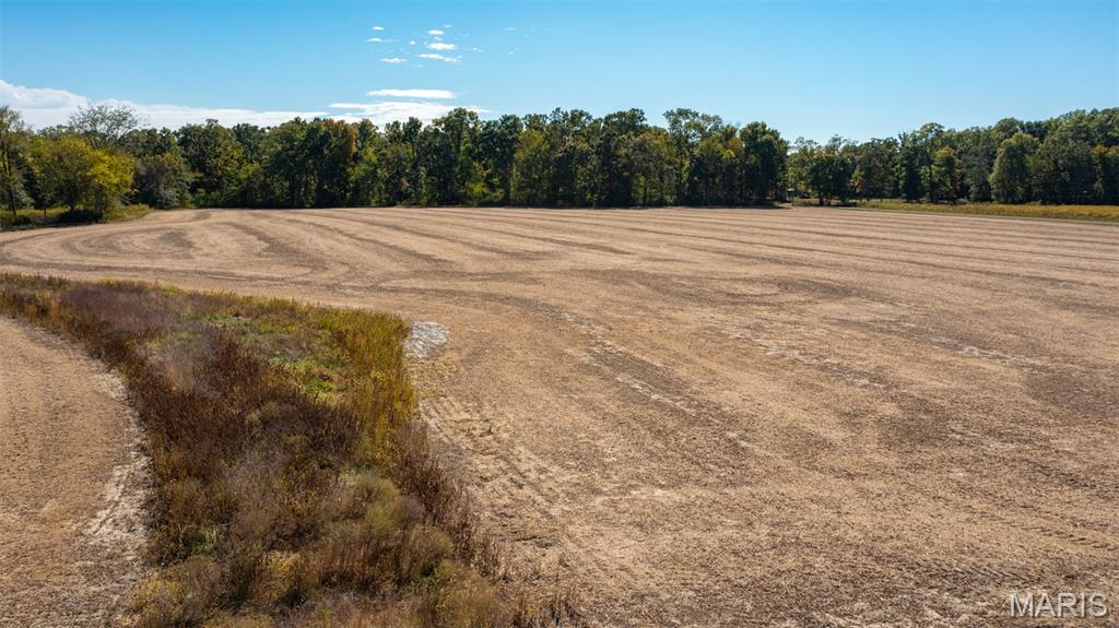 Tbd Donnell Avenue Donnellson, IL 62019 - Photo 8 of 12