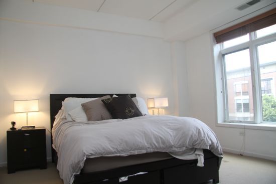 657 West Fulton Street, Unit 311 Chicago, IL 60661 - Photo 7 of 10
