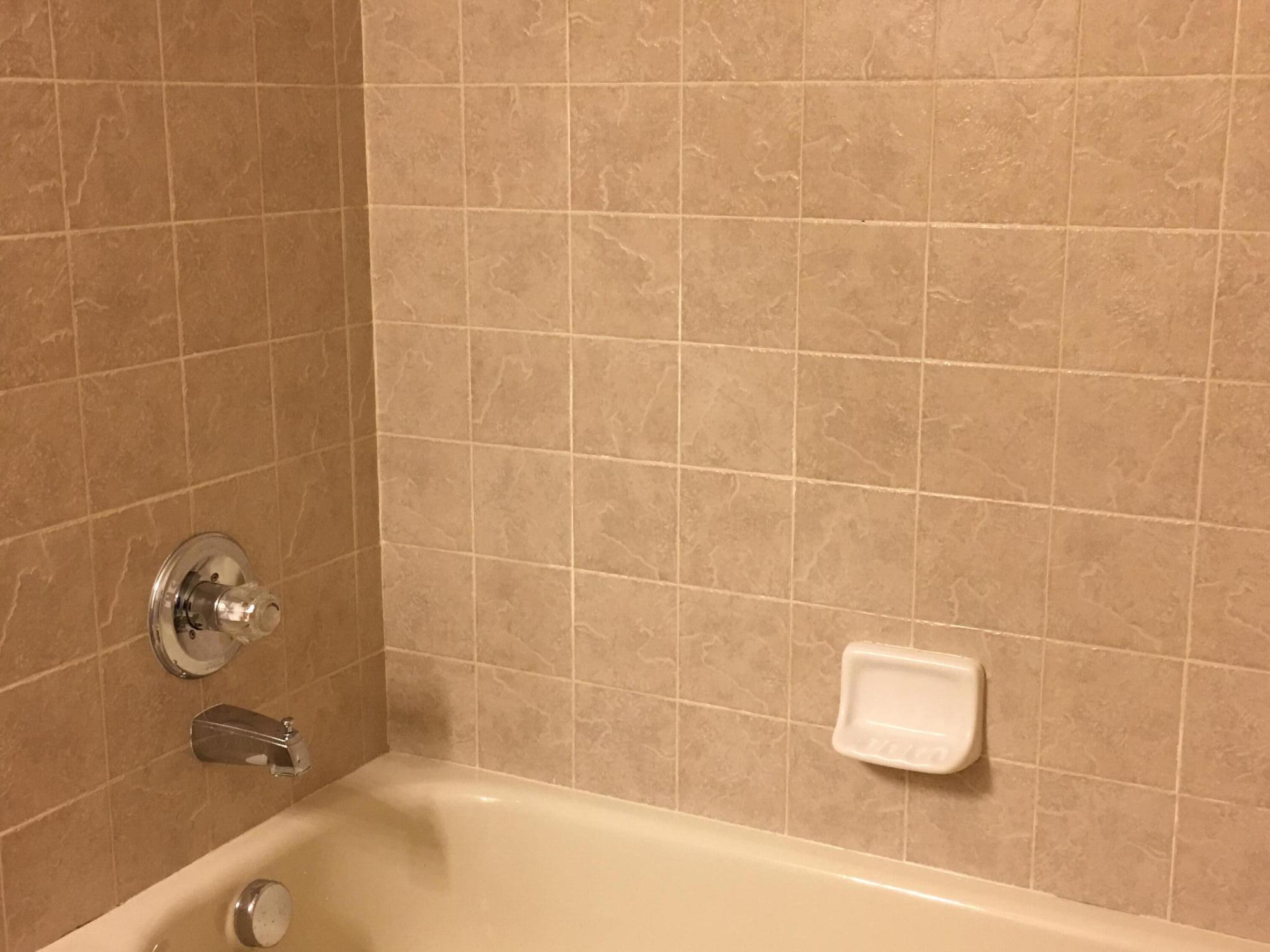 20209 Chesapeake Circle Walled Lake, MI 48390 - Photo 16 of 48 IMG_2681