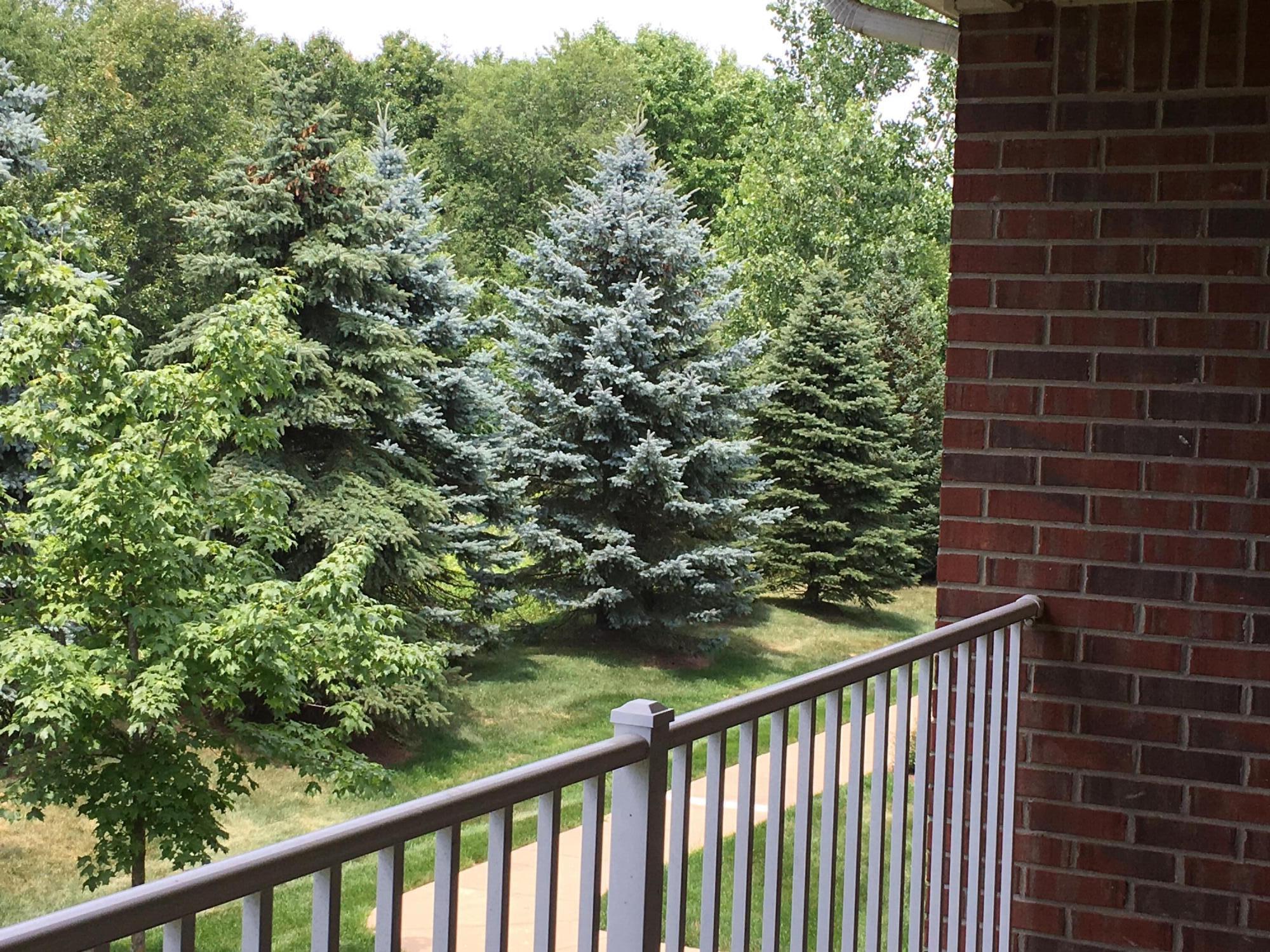 20209 Chesapeake Circle Walled Lake, MI 48390 - Photo 24 of 48 IMG_2693