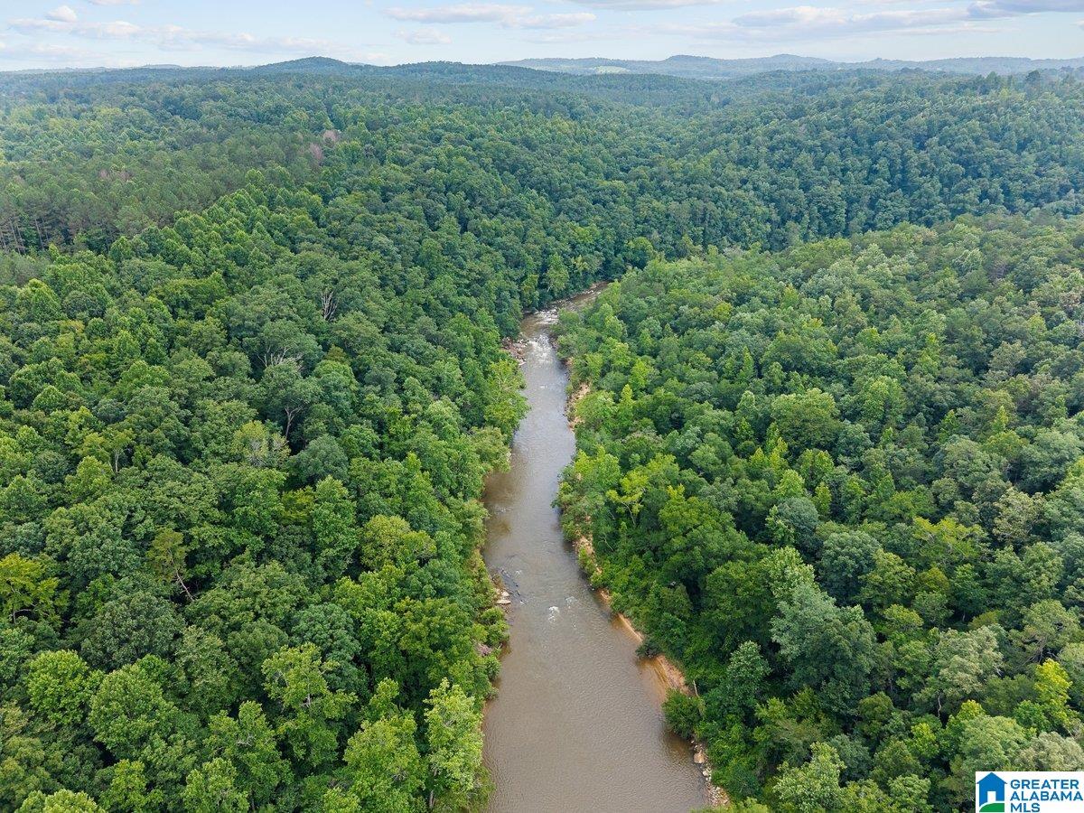 2040 Bud Mountain Road Blountsville, AL 35031 - Photo 47 of 47