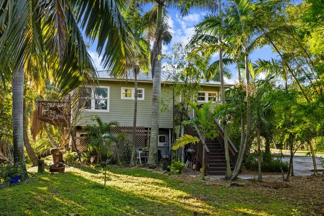 a view of a yard with plants and trees