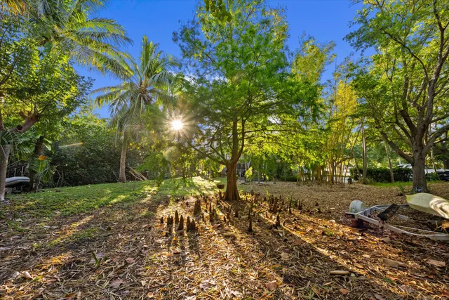 a view of a yard with a tree