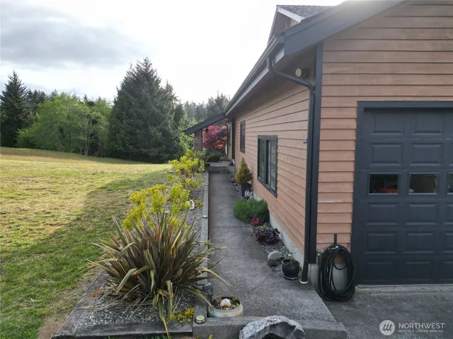 a view of a backyard with plants