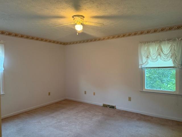 354 Brierly Ridge Road Mount Olivet, KY 41064 - Photo 14 of 23 Brierly Ridge (16jpg