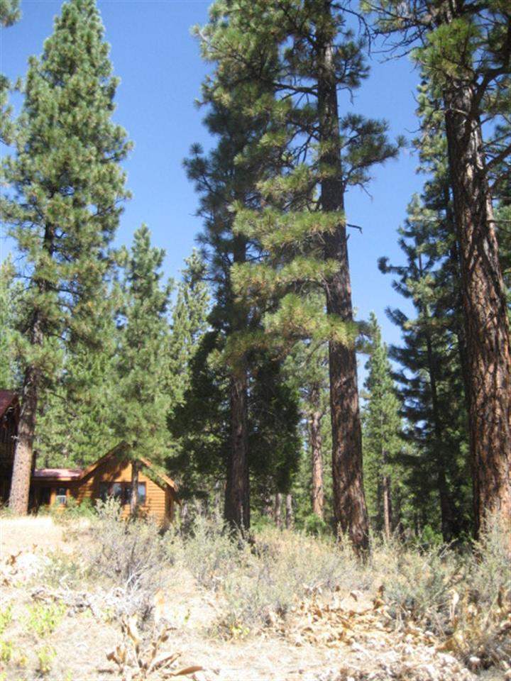 406 Main Street Calpine, CA 96124 - Photo 1 of 8 Gallery Image 1