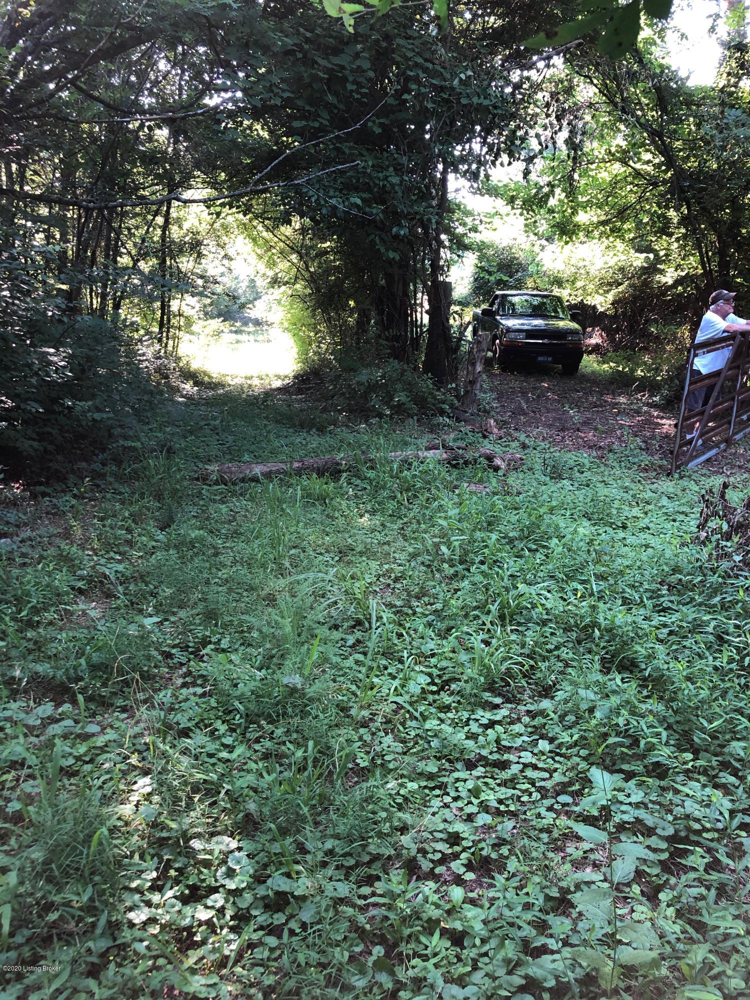 10810 Barricks Road Fairdale, KY 40118 - Photo 18 of 25 IMG_1533