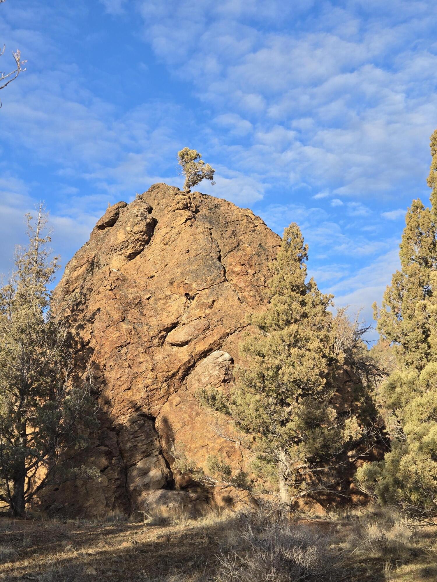 9697 Pavati Road, Unit LOT 27 Prineville, OR 97754 - Photo 4 of 10 20260211_162857