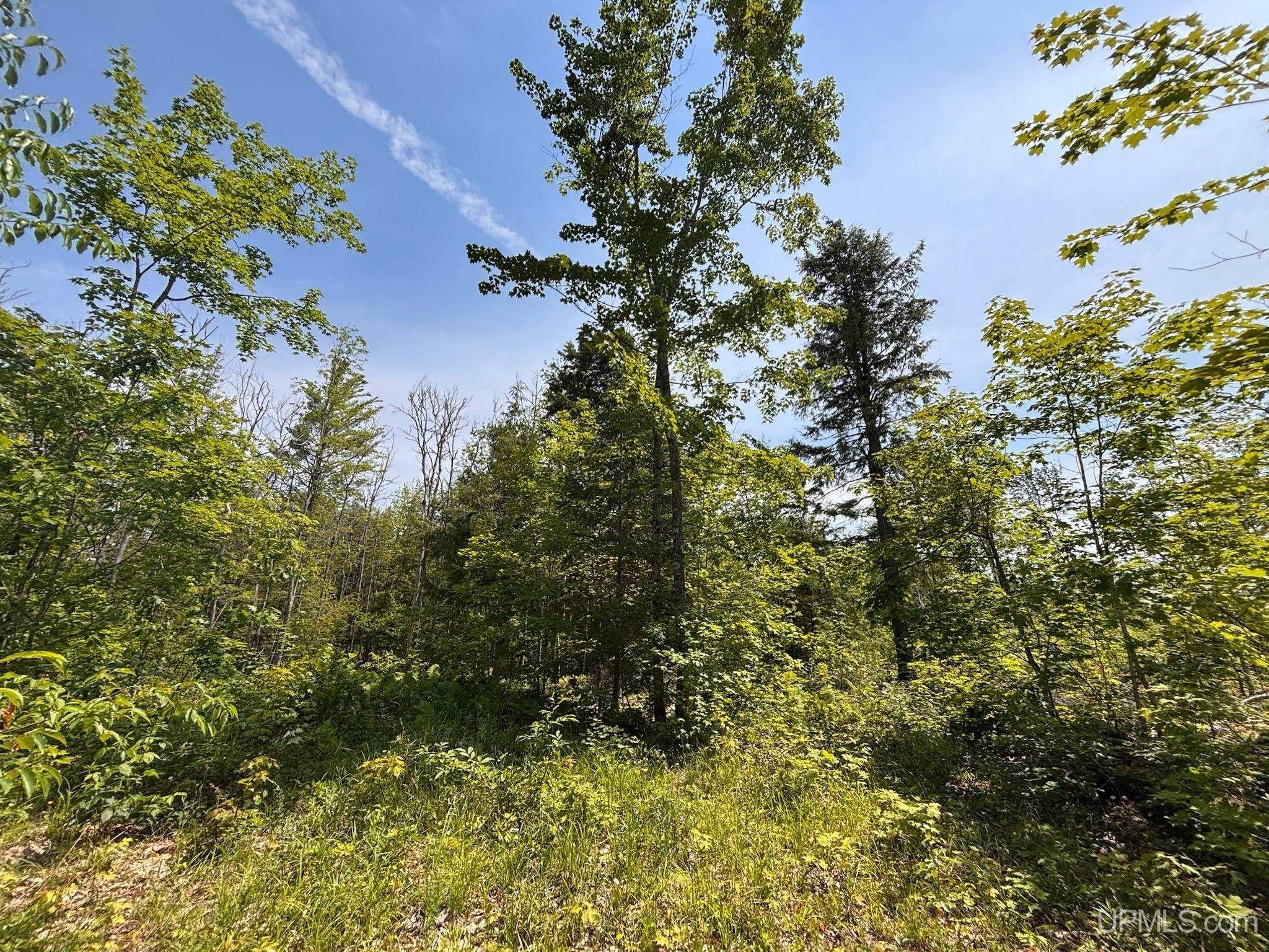 Horseshoe Lake Road Toivola, MI 49965 - Photo 59 of 70 Gallery Image 59