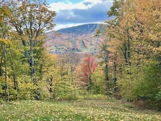 $1,975,000 | 14 Old Ridge Road, Winhall, VT 05340