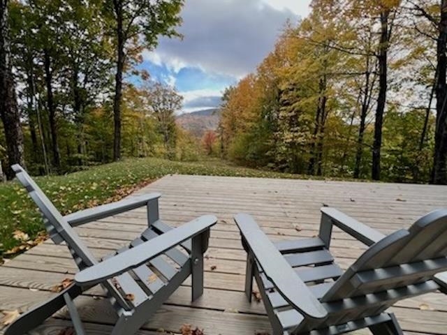 14 Old Ridge Road Winhall, VT 05340 - Photo 36 of 40