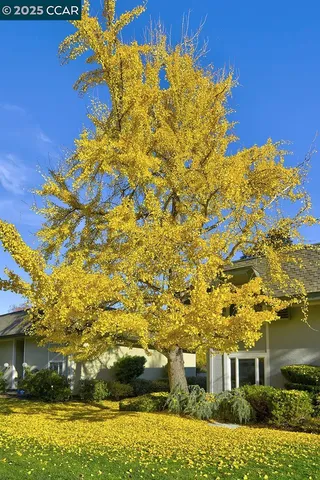 $749,000 | 1429 Skycrest Drive, Unit 5, Walnut Creek, CA 94595