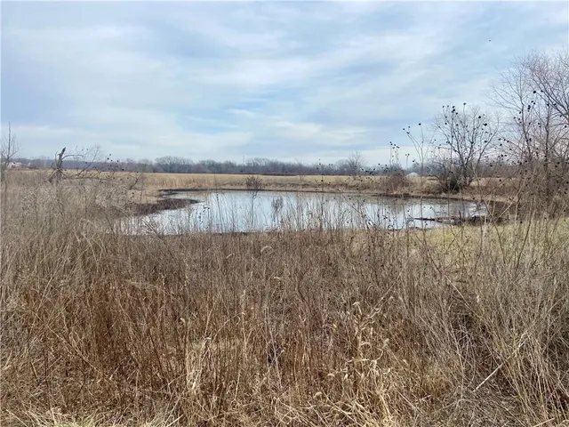 $325,000 | 7 South S Highway, Harrisonville, MO 64701