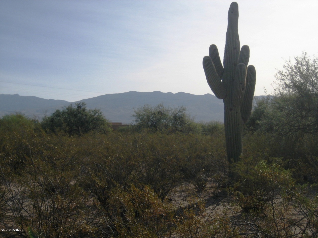 11210 East Tanque Verde Road, Unit 4 Tucson, AZ 85749 - Photo 5 of 5