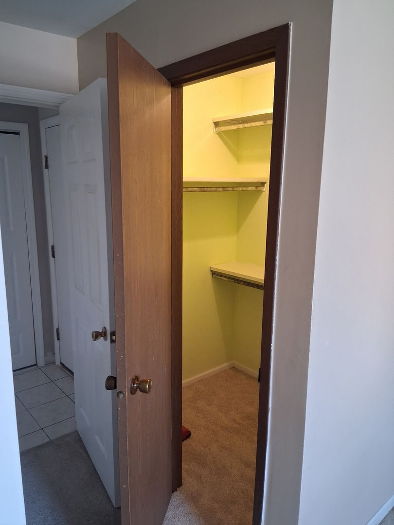 266 12th Street, Unit 3B Wheeling, IL 60090 - Photo 12 of 14