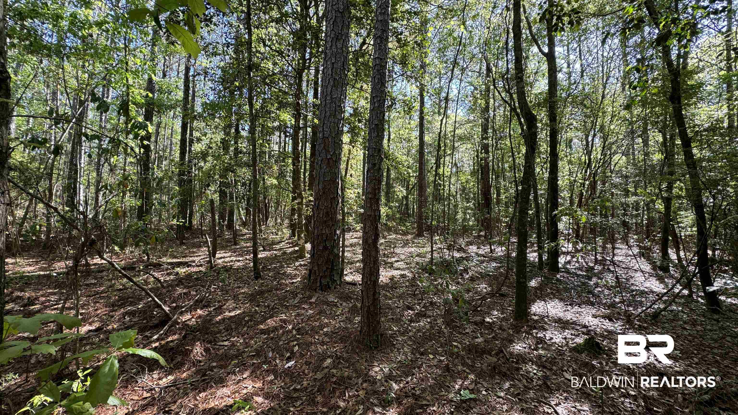 0 Eddie Jackson Road Brewton, AL 36426 - Photo 13 of 18