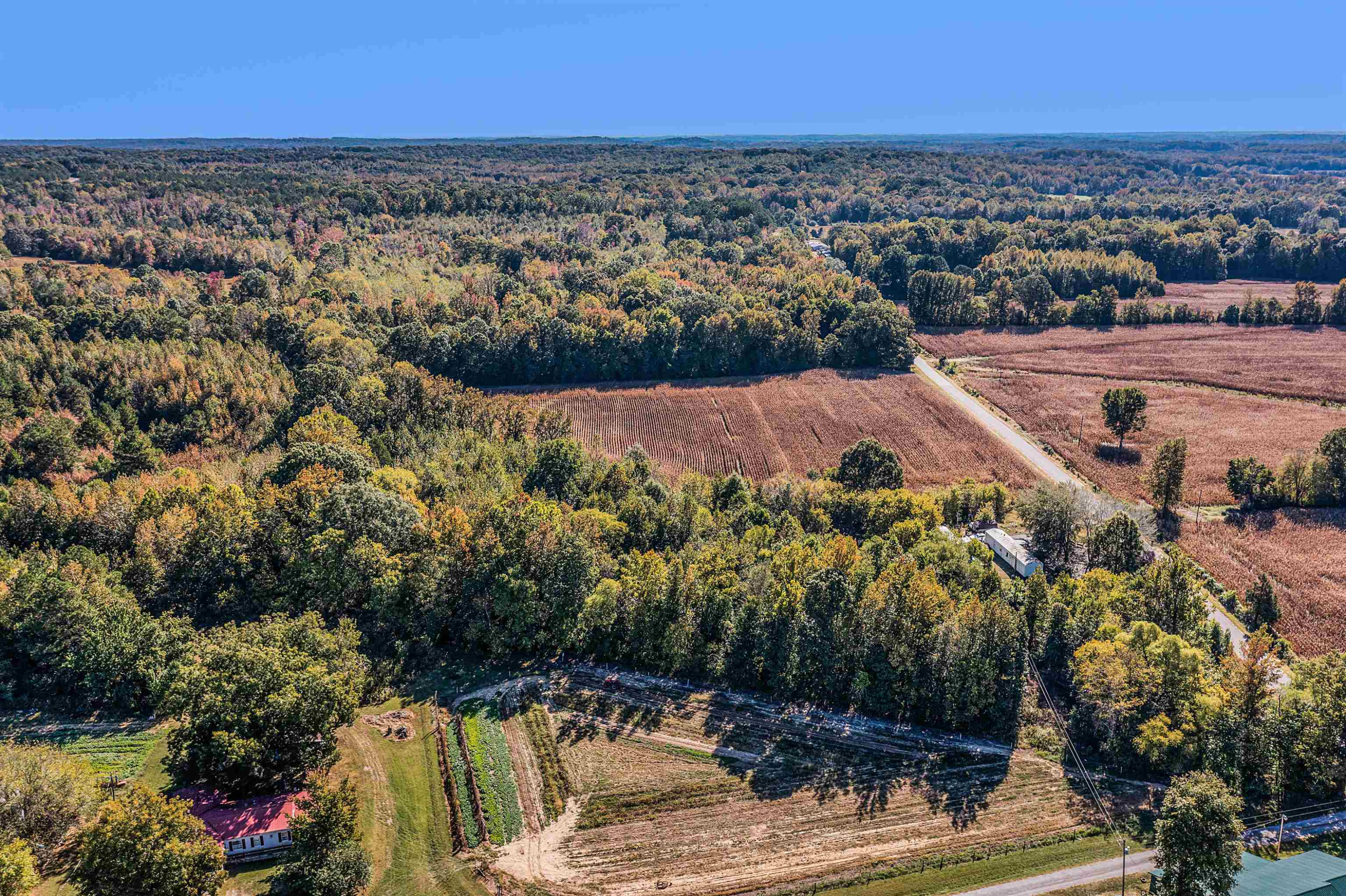 0 Obrien Road Cedar Grove, TN 38321 - Photo 11 of 15
