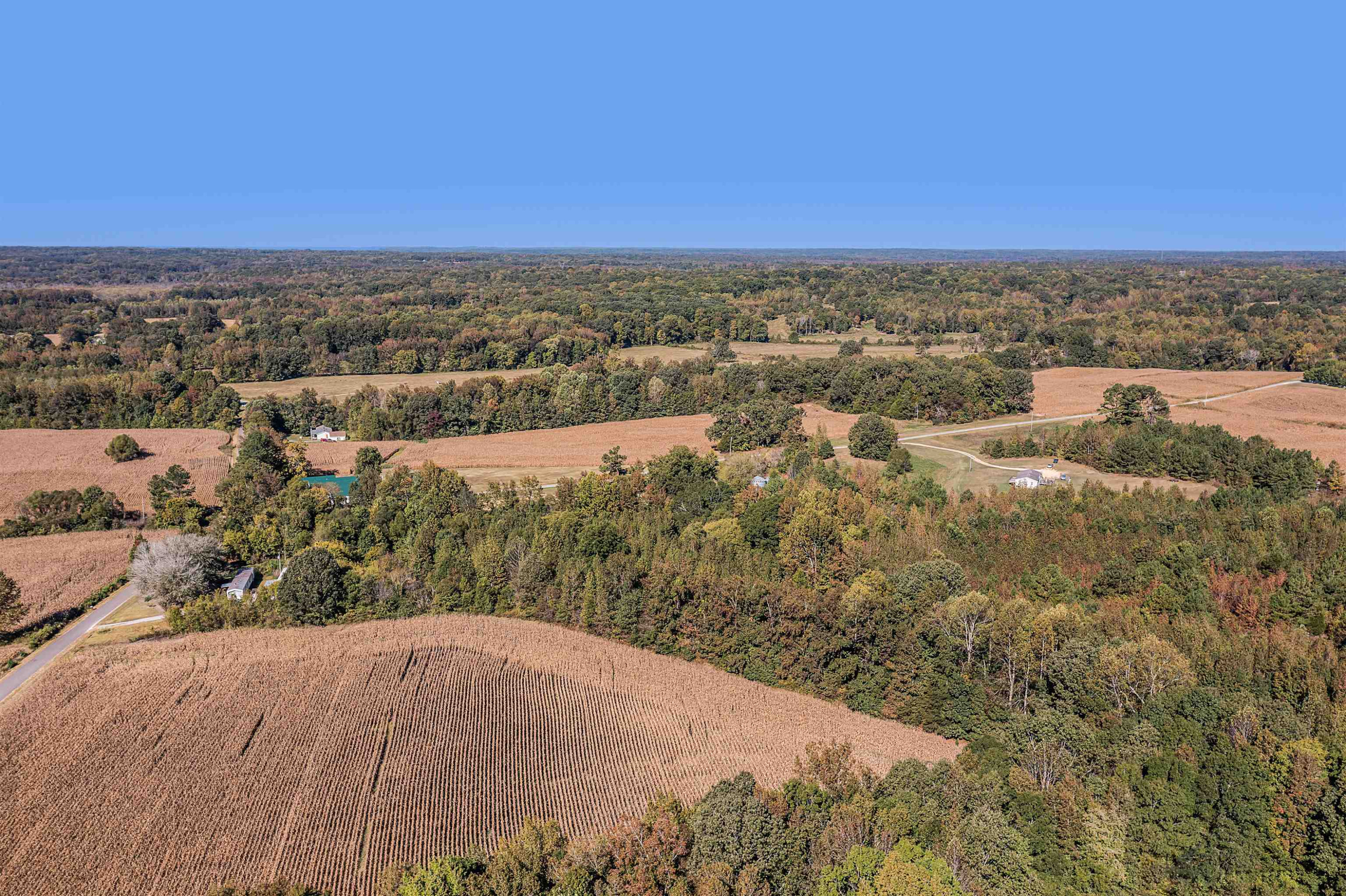 0 Obrien Road Cedar Grove, TN 38321 - Photo 5 of 15 an aerial view of residential houses with outdoor space