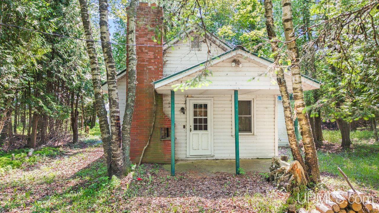 5217 County Road 513 Road Rapid River, MI 49878 - Photo 4 of 14