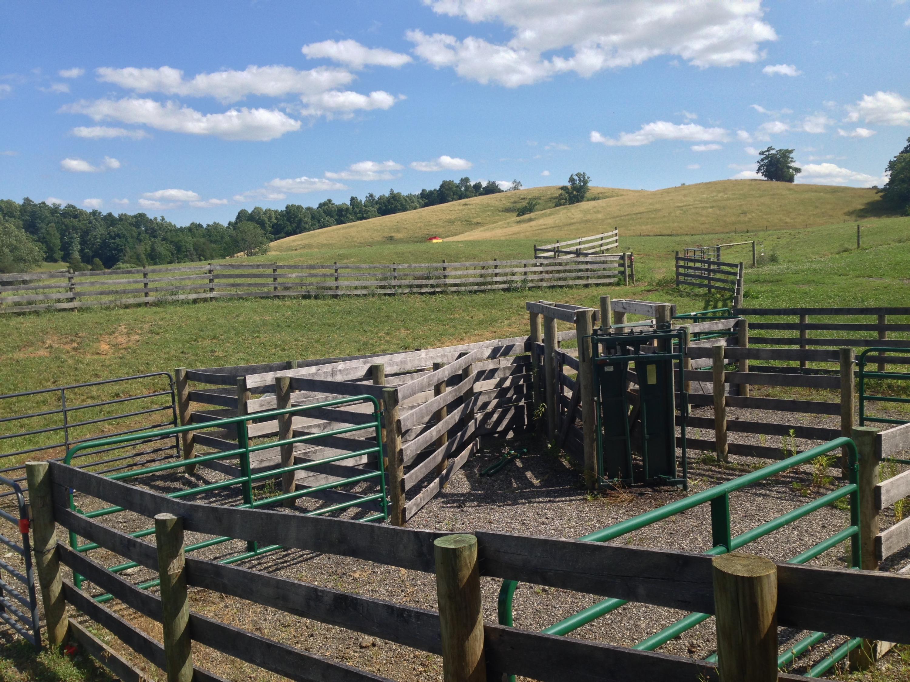8108 Roanoke Road Fincastle, VA 24090 - Photo 13 of 14 IMG_6636