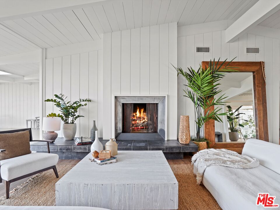 31284 Broad Beach Road Malibu, CA 90265 - Photo 5 of 31 a living room with furniture a fireplace and a potted plant